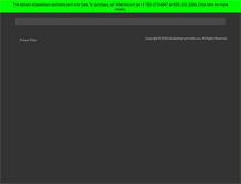 Tablet Screenshot of elizabethan-portraits.com